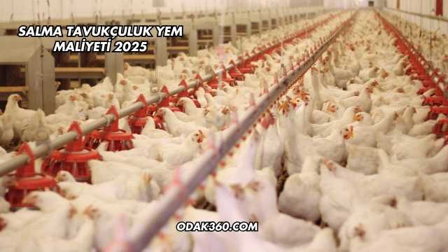 Salma Tavukçuluk Yem Maliyeti 2025
