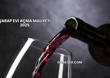 Şarap Evi Açma Maliyeti 2025
