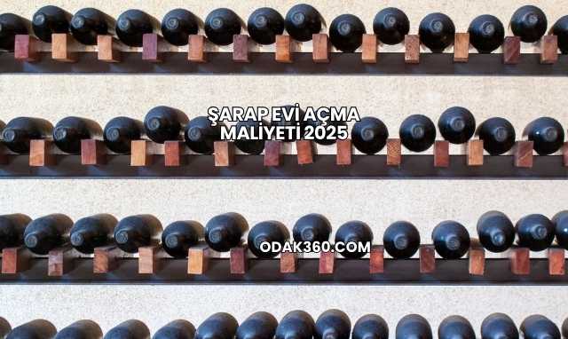 Şarap Evi Açma Maliyeti 2025