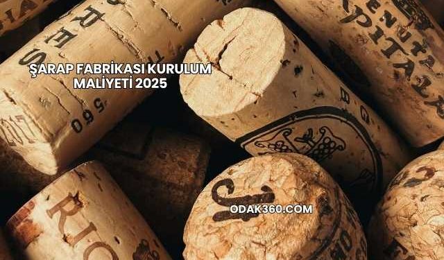 Şarap Fabrikası Kurulum Maliyeti 2025