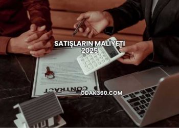 Satışların Maliyeti 2025