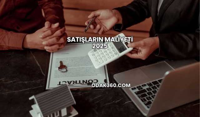 Satışların Maliyeti 2025