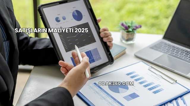 Satışların Maliyeti 2025