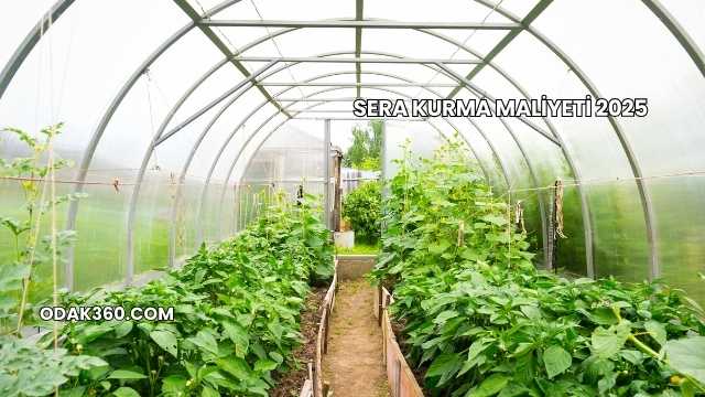Sera Kurma Maliyeti 2025