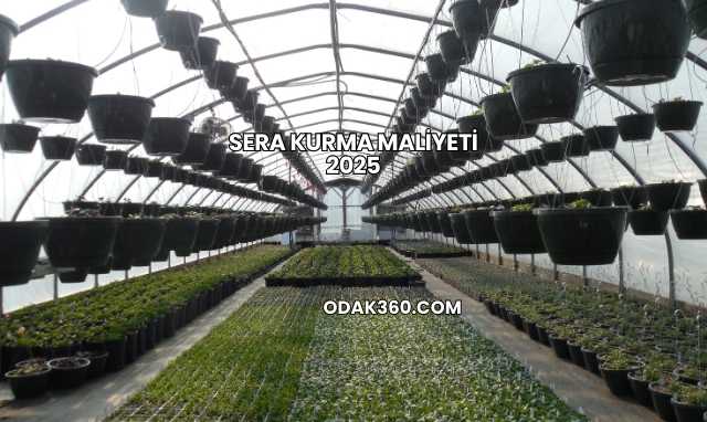 Sera Kurma Maliyeti 2025
