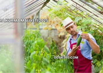 Sera Kurma Maliyeti 2025