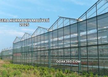 Sera Kurmanın Maliyeti 2025