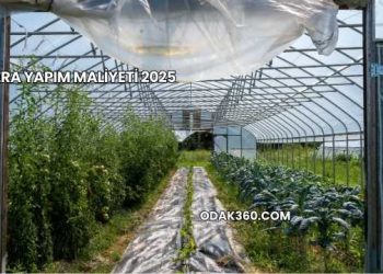 Sera Yapım Maliyeti 2025