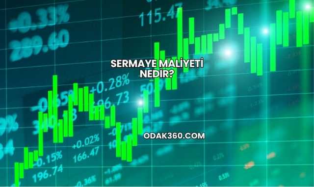 Sermaye Maliyeti Nedir?