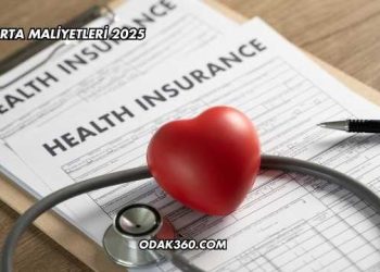 Sigorta Maliyetleri 2025