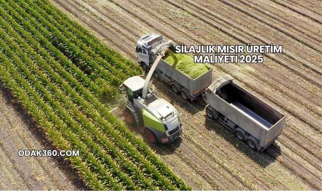 Silajlık Mısır Üretim Maliyeti 2025