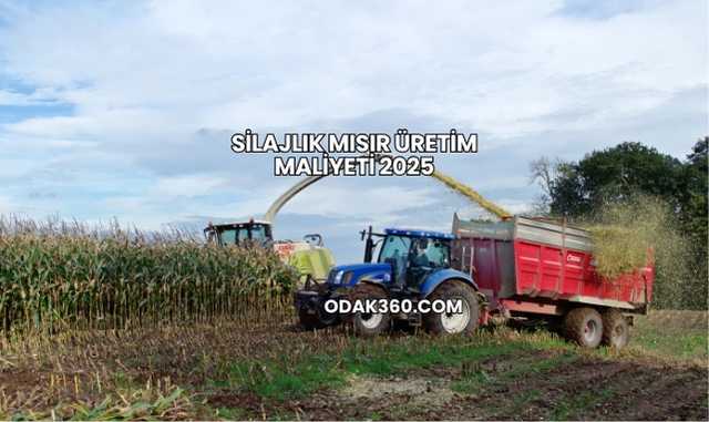 Silajlık Mısır Üretim Maliyeti 2025
