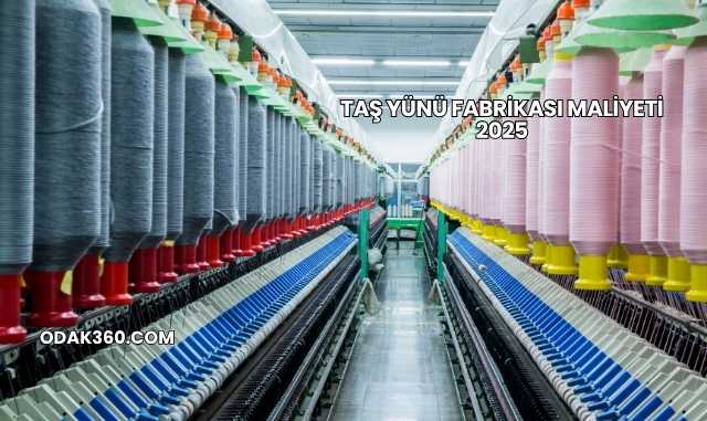 Taş Yünü Fabrikası Maliyeti 2025