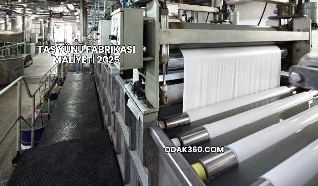 Taş Yünü Fabrikası Maliyeti 2025