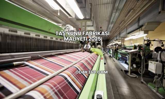 Taş Yünü Fabrikası Maliyeti 2025