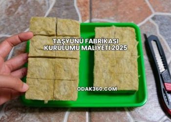 Taşyünü Fabrikası Kurulumu Maliyeti 2025