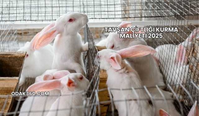 Tavşan Çiftliği Kurma Maliyeti 2025
