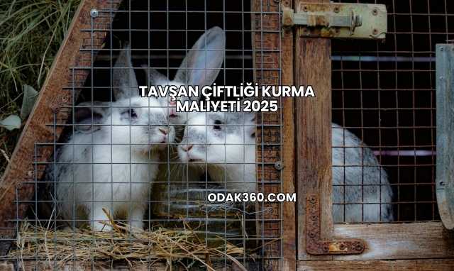 Tavşan Çiftliği Kurma Maliyeti 2025