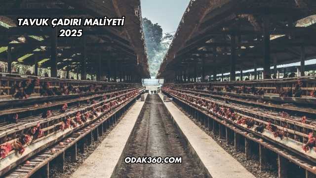 Tavuk Çadırı Maliyeti 2025