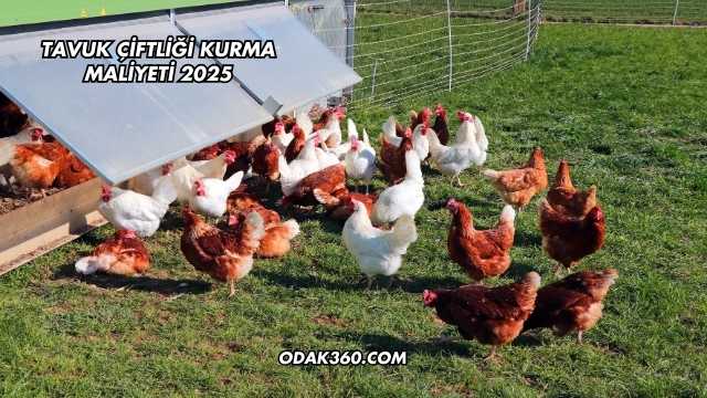 Tavuk Çiftliği Kurma Maliyeti 2025