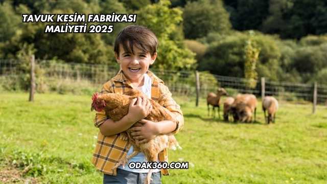 Tavuk Kesim Fabrikası Maliyeti 2025