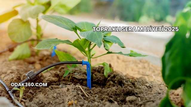 Topraklı Sera Maliyeti 2025