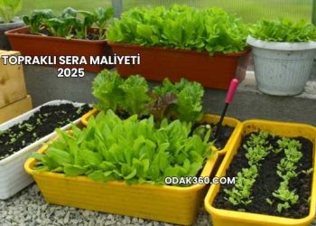 Topraklı Sera Maliyeti 2025