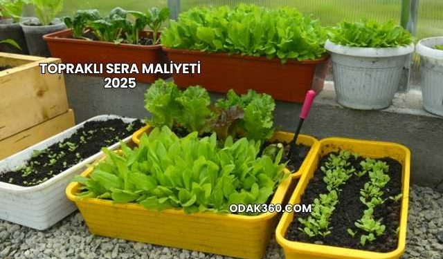 Topraklı Sera Maliyeti 2025
