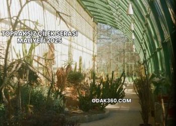 Topraksız Çilek Serası Maliyeti 2025