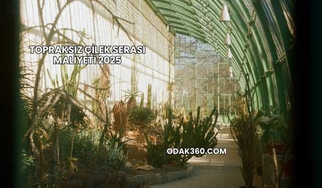Topraksız Çilek Serası Maliyeti 2025