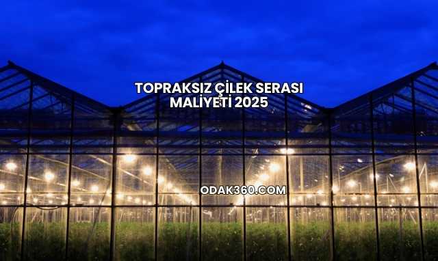 Topraksız Çilek Serası Maliyeti 2025