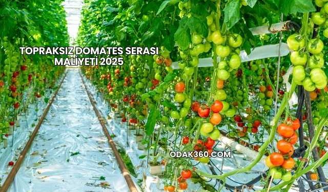 Topraksız Domates Serası Maliyeti 2025