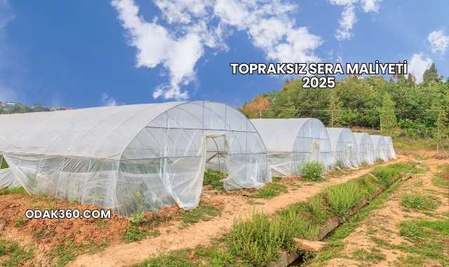 Topraksız Sera Maliyeti 2025