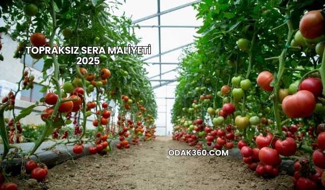 Topraksız Sera Maliyeti 2025