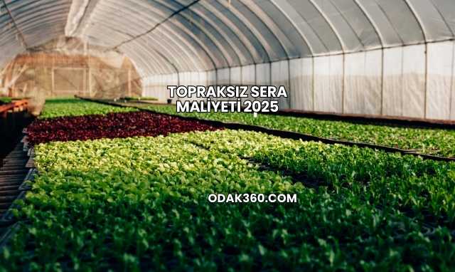 Topraksız Sera Maliyeti 2025