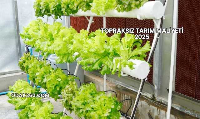 Topraksız Tarım Maliyeti 2025