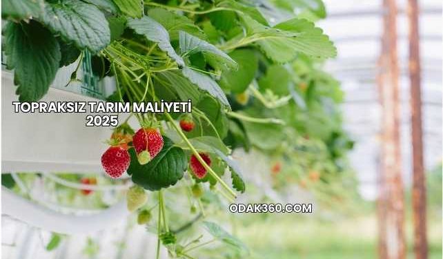 Topraksız Tarım Maliyeti 2025