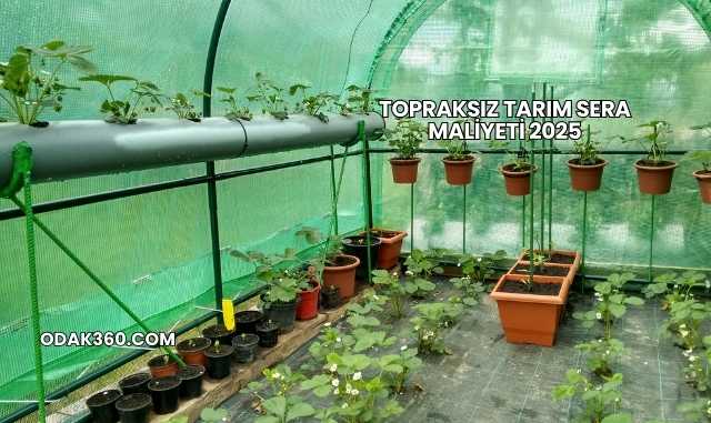 Topraksız Tarım Sera Maliyeti 2025