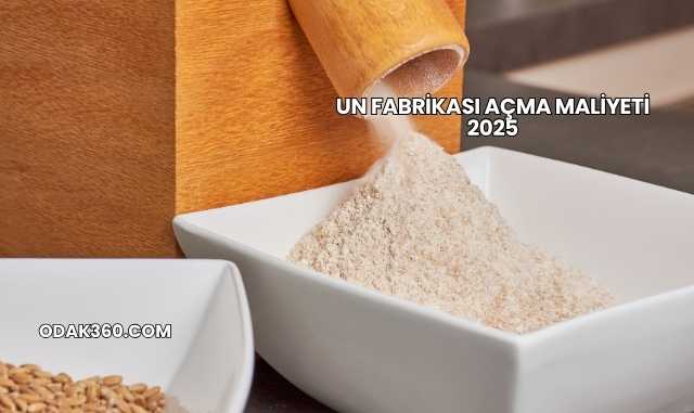 Un Fabrikası Açma Maliyeti 2025