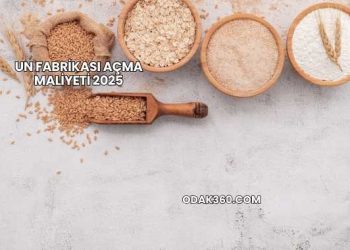 Un Fabrikası Açma Maliyeti 2025