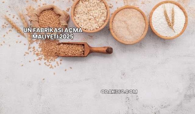 Un Fabrikası Açma Maliyeti 2025