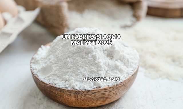 Un Fabrikası Açma Maliyeti 2025