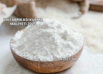 Un Fabrikası Kurma Maliyeti 2025