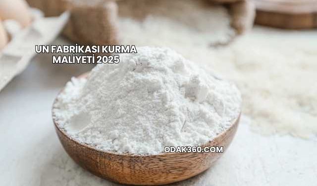 Un Fabrikası Kurma Maliyeti 2025