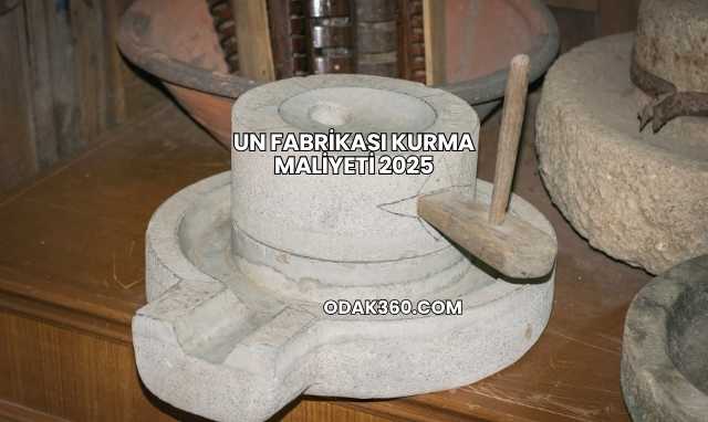 Un Fabrikası Kurma Maliyeti 2025
