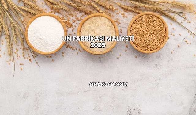 Un Fabrikası Maliyeti 2025