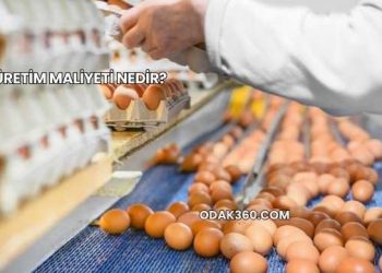 Üretim Maliyeti Nedir?