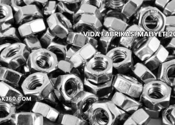 Vida Fabrikası Maliyeti 2025