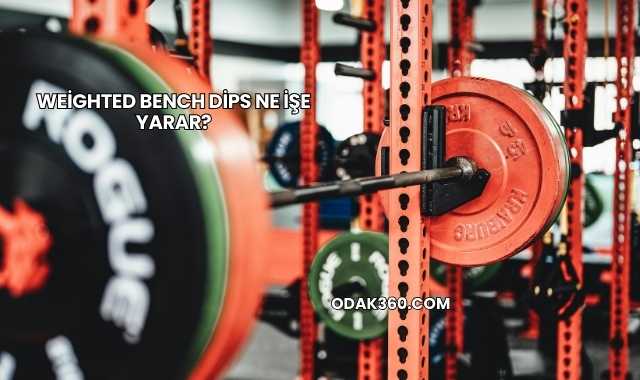 Weighted Bench Dips Ne İşe Yarar?