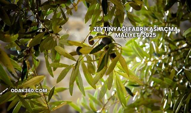 Zeytinyağı Fabrikası Açma Maliyeti 2025